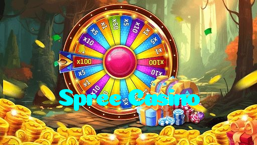 available types of Spree Casino bet including pre-match live express and system bets